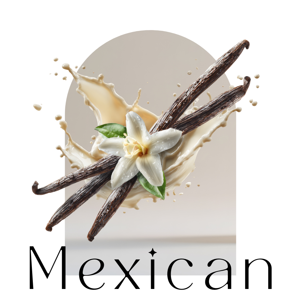 Organic Mexican Vanilla Beans Pods Madagascar Grade A Quality