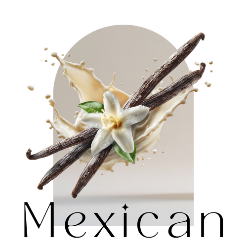 Organic Mexican Vanilla Beans Pods Madagascar Grade A Quality