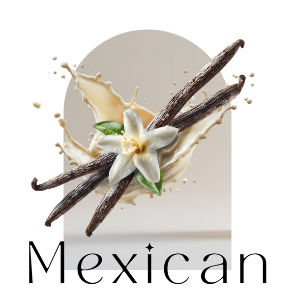 Organic Mexican Vanilla Beans Pods Madagascar Grade A Quality