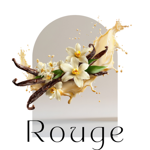 Organic Rouge Vanilla Beans Pods Madagascar Grade A Quality