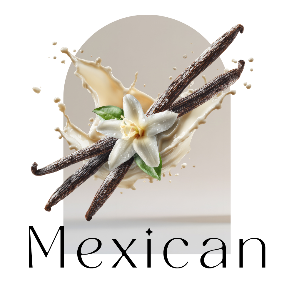 Păstăi de vanilie mexicană organică Madagascar | Calitate de grad A