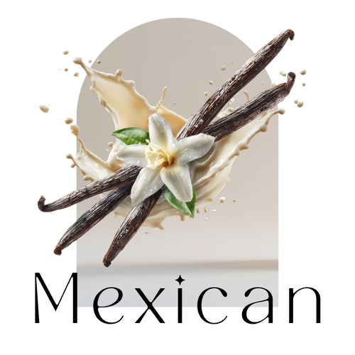 Păstăi de vanilie mexicană organică Madagascar | Calitate de grad A