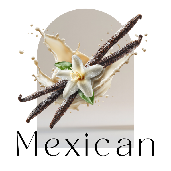 Organic Mexican Vanilla Beans Pods Madagascar | Grade A Quality